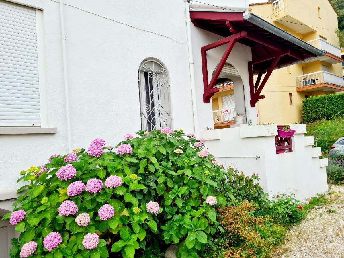 Villa La Closeraie Amélie-les-Bains-Palalda المظهر الخارجي الصورة